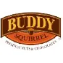 buddysquirrel.com