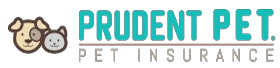 prudentpet.com