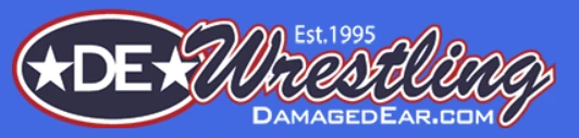 damagedear.com