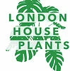 londonhouseplants.com