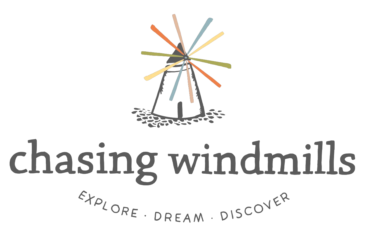 chasingwindmillskids.com