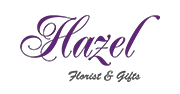 hazel.com.sg