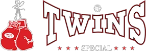 twinsfight.com