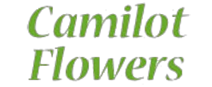 camilotflowers.com