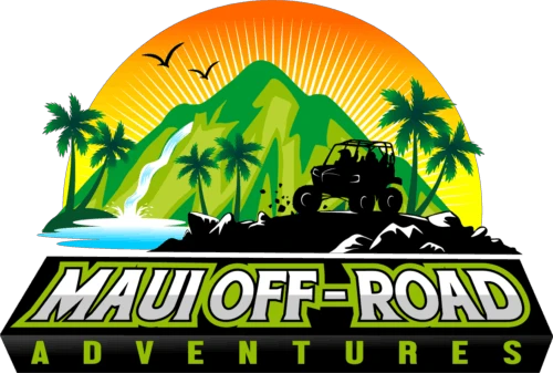 mauioffroadadventures.com