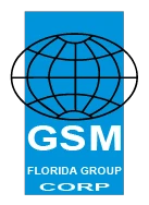 gsmfloridagroup.com