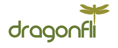 dragonfli.co.uk