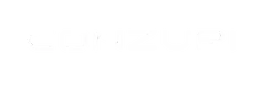 conzuri.com