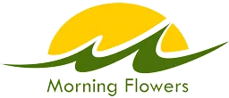 morningflowers.com
