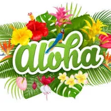 alohacondos.com