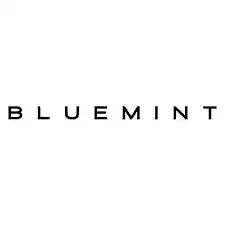 bluemint.com