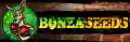 bonzaseeds.com