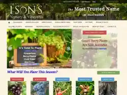 isons.com