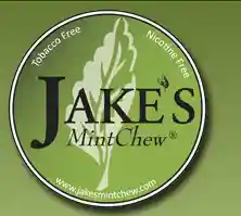 jakesmintchew.com