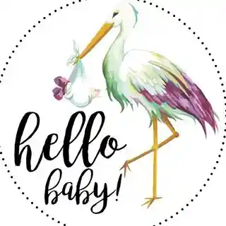 shophellobabyapparel.com