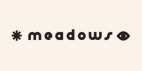 meadows-store.com